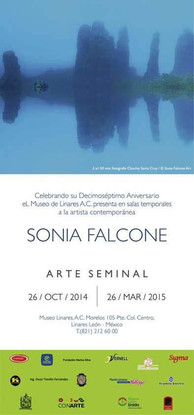 11-arte-seminal-linares-2014